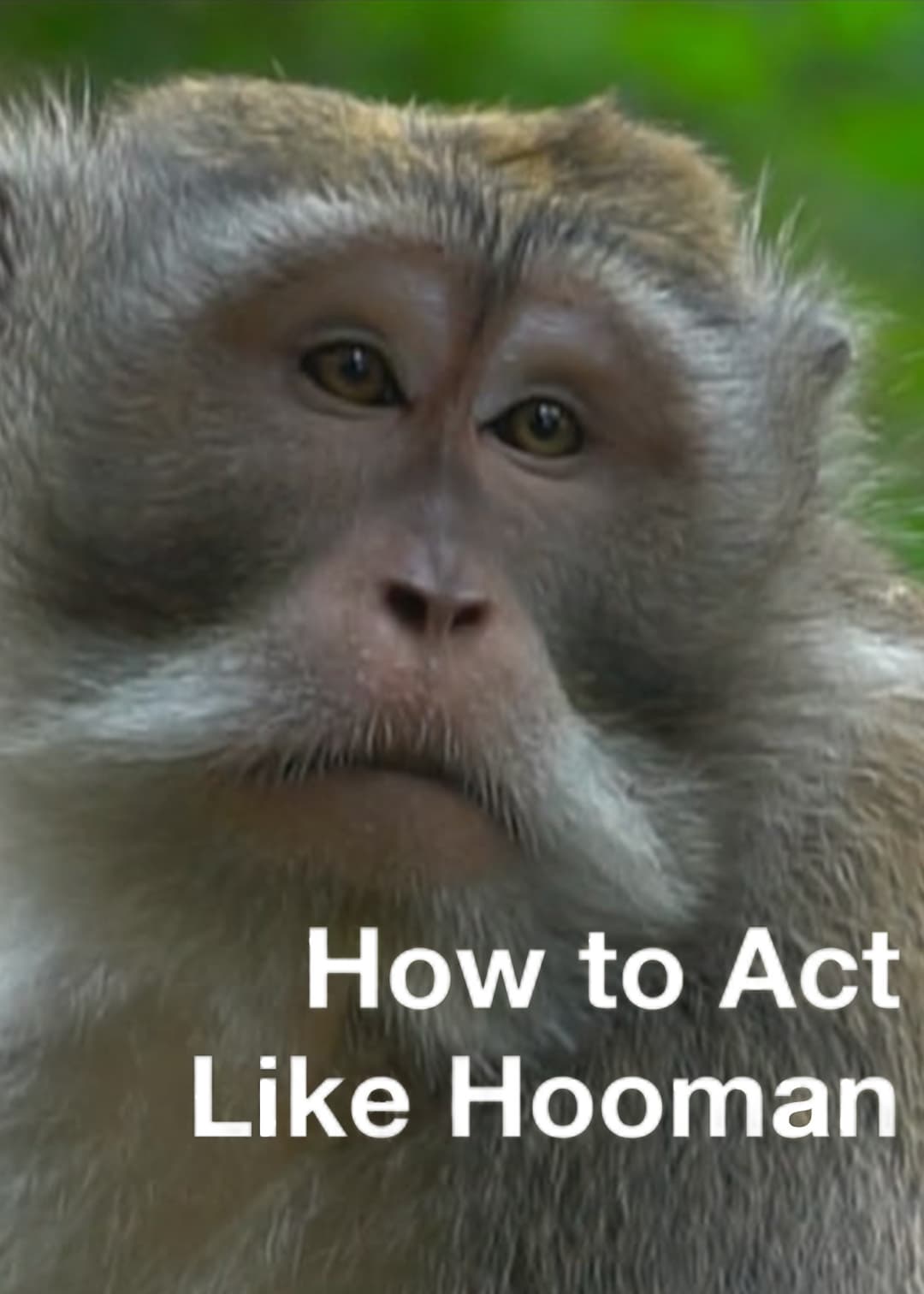 How To Act Like Hooman